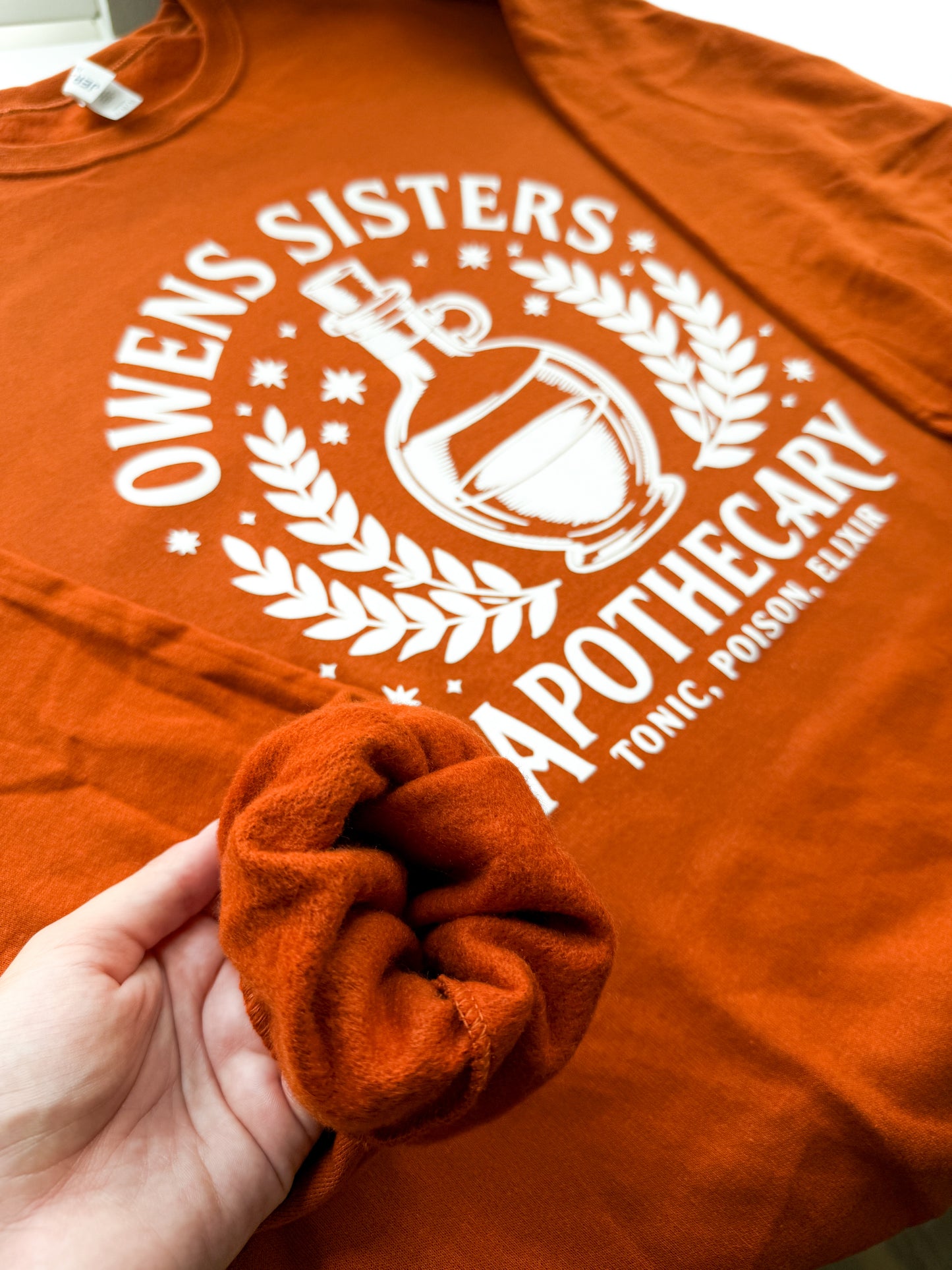 Owens Sisters Apothecary Terracota Sweatshirt – Practical Magic Inspired Halloween Sweater