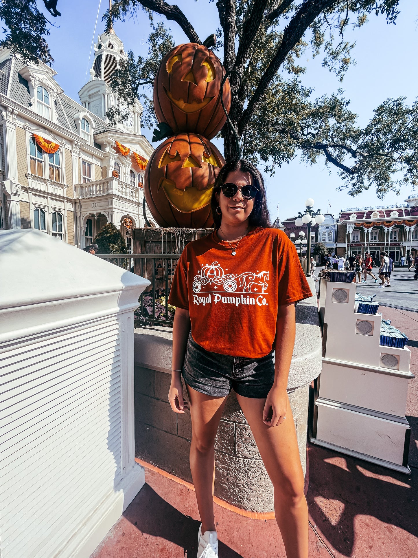 Royal Pumpkin Co. Cinderella Ride Shirt - The Bold Designer