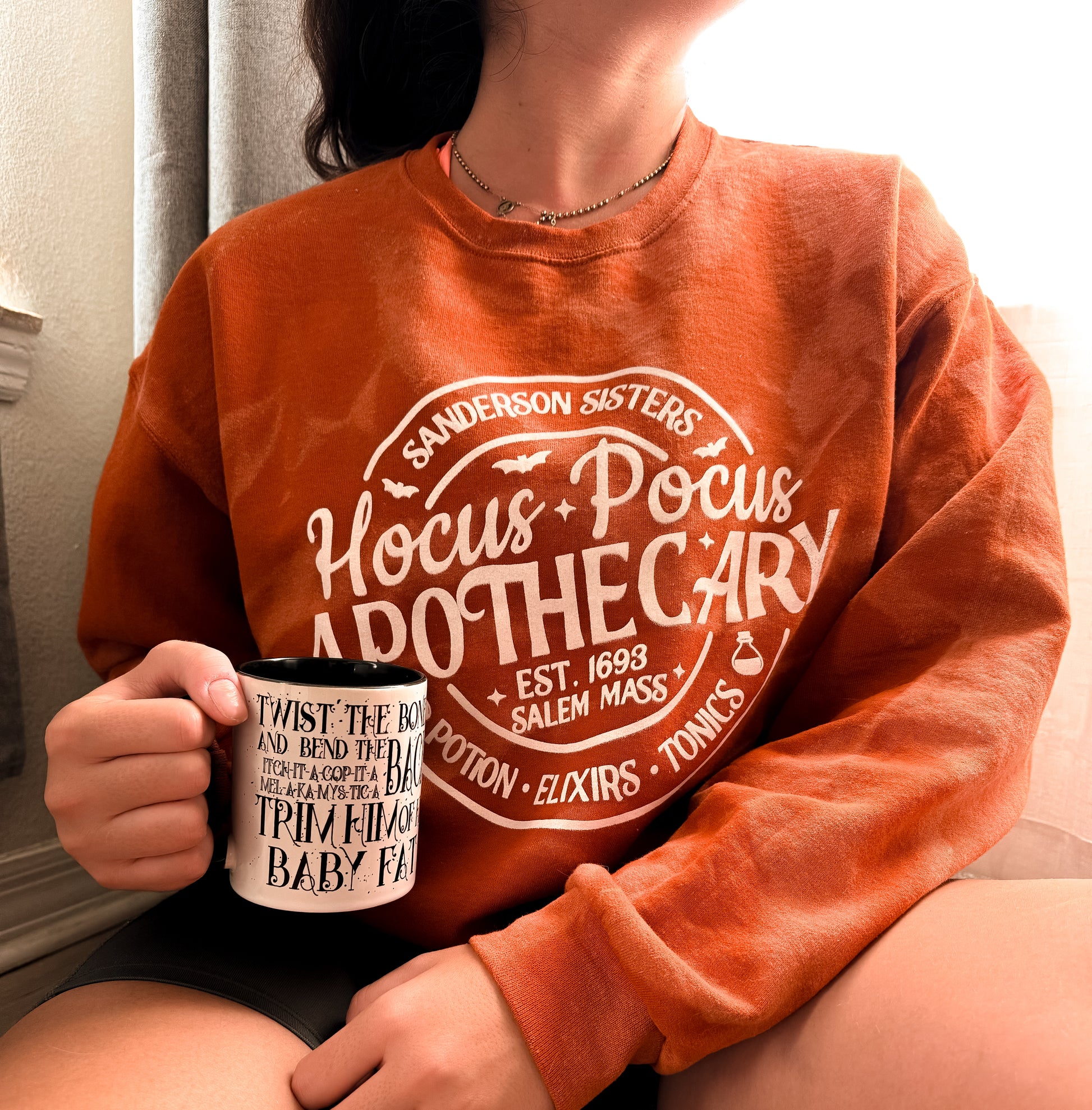 Hocus Pocus Sanderson Sisters Terracota Reverse Dye Heavy Blend Crewneck Sweatshirt - The Bold Designer