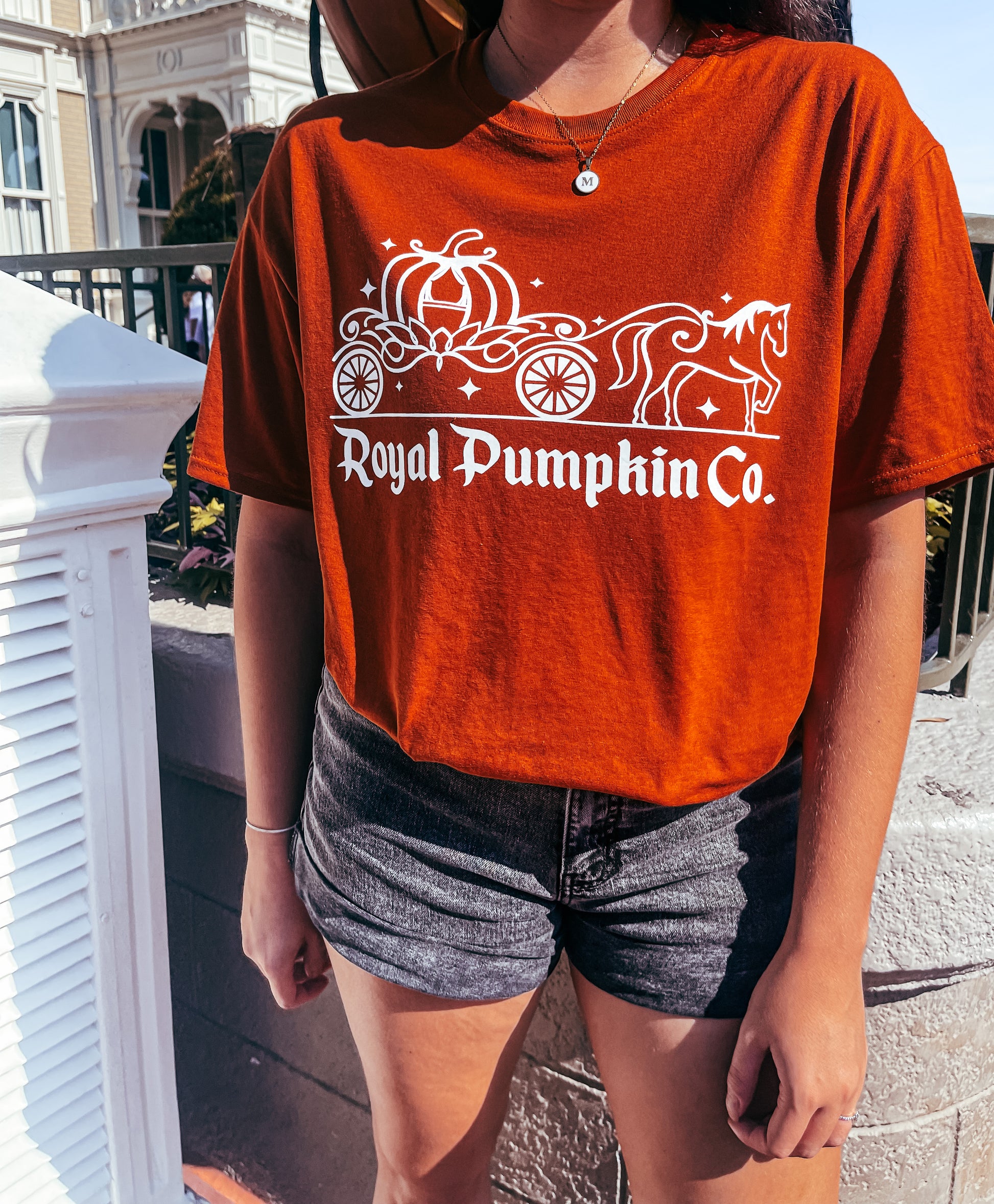 Royal Pumpkin Co. Cinderella Ride Shirt - The Bold Designer