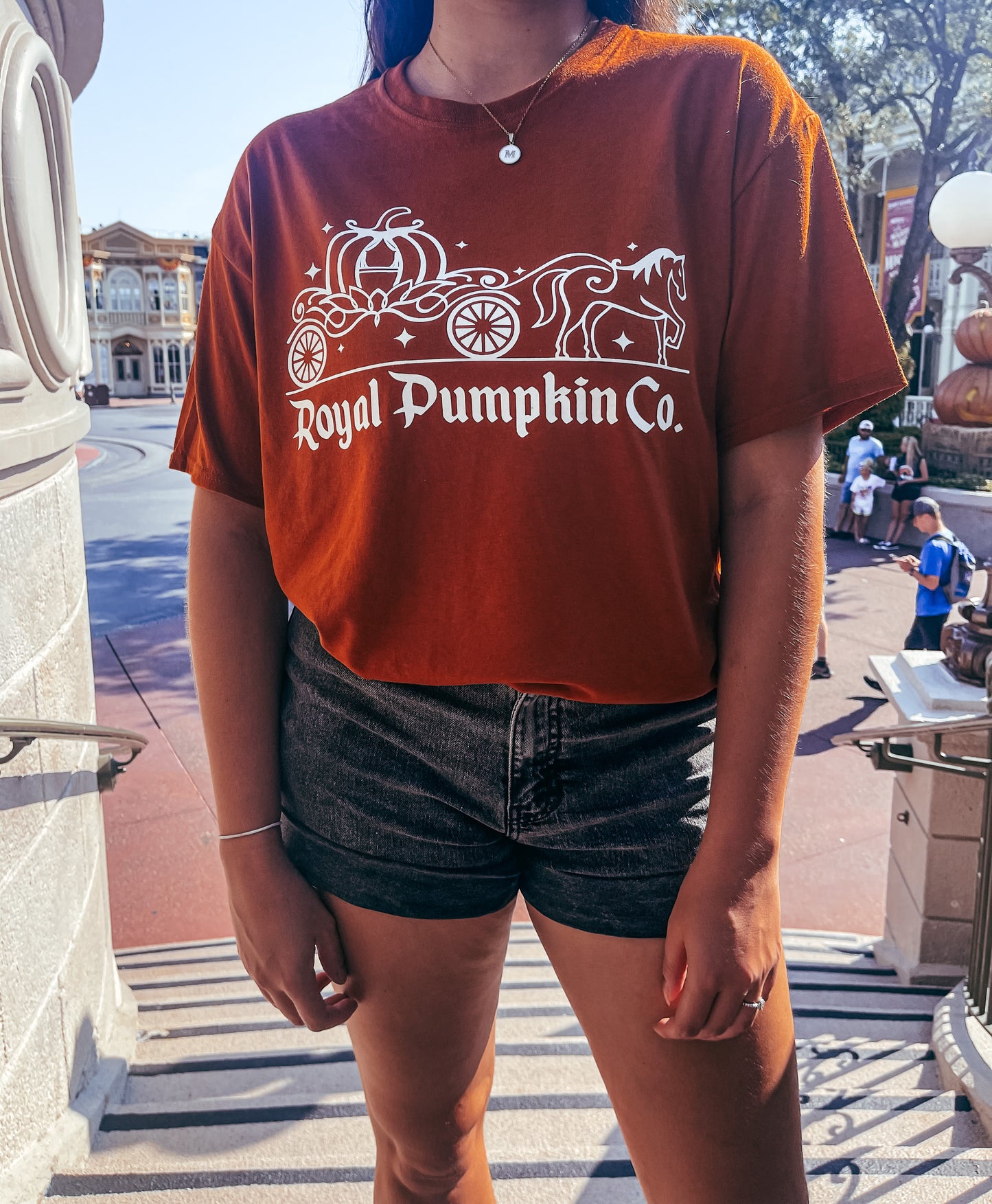 Royal Pumpkin Co. Cinderella Ride Shirt - The Bold Designer