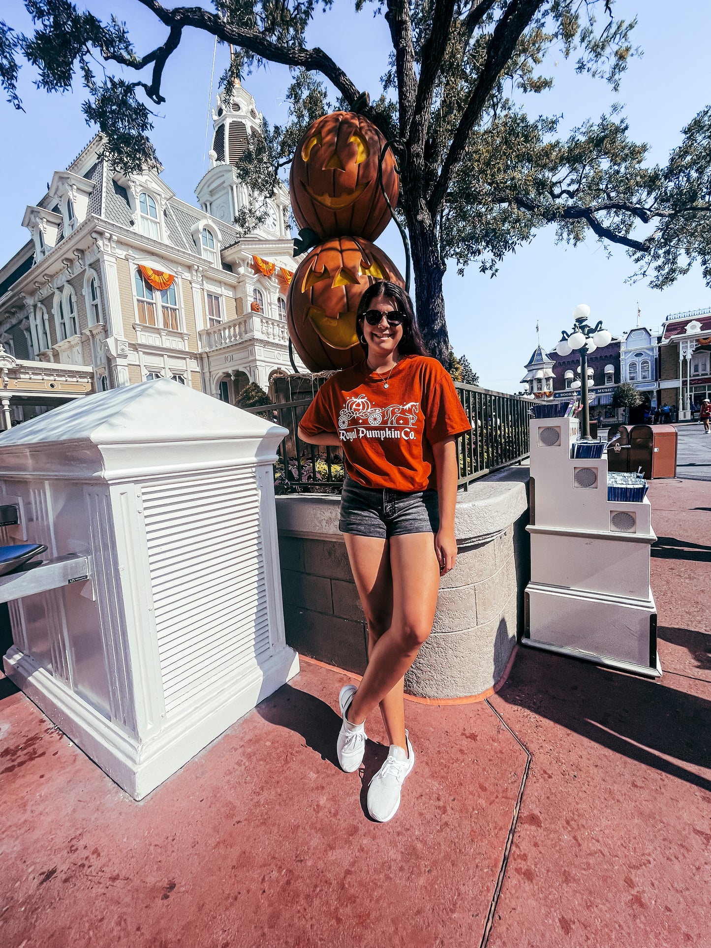 Royal Pumpkin Co. Cinderella Ride Shirt - The Bold Designer